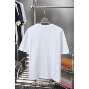 ブランド フェイクTシャツDior数量限定在庫限り 手元在庫限り 落ち着きある