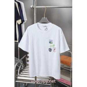 ブランド フェイクTシャツDior数量限定在庫限り 手元在庫限り 落ち着きある