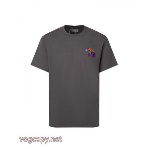 新作日本未入荷 最安値挑戦！ 耐久性に優れDiorTシャツ激安 ブランド 通販