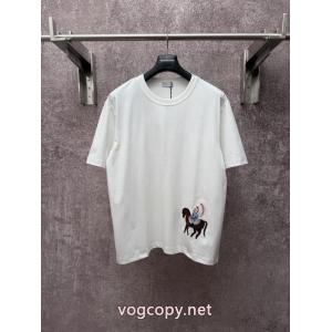 Diorブランド 偽物Tシャツ大人気商品 珍しい 通勤の定番