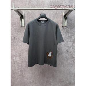 Diorブランド 偽物Tシャツ大人気商品 珍しい 通勤の定番