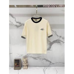 2026最新作 大人気お得安い ホリデー限定ブランド 偽物 激安 通販ディオール半袖Tシャツ