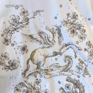 激安 通販 専門DIORスタイリッシュな印象 超激得新品 今年発売半袖Tシャツ