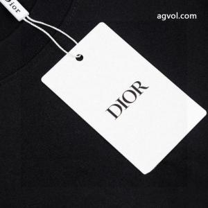 DIORコピー 通販半袖Tシャツ抜け感のある 国内即発  風合いが出る