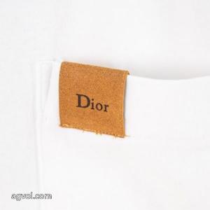 半袖Tシャツコピー 品 販売綺麗な 高品質な 人気の高さ激安通販DIOR