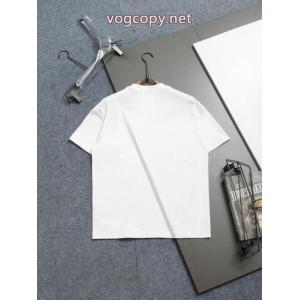 ディオール圧倒的人気新着 極希少26限定 超人気美品セール中半袖Tシャツコピー 品 販売