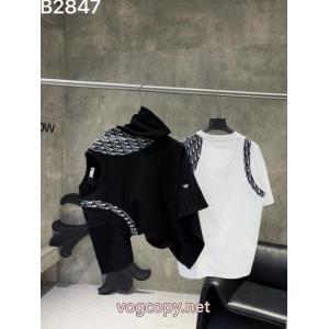 ブランド コピー 激安大人の色味  大人の魅力を溢れる 新品登場半袖TシャツDior