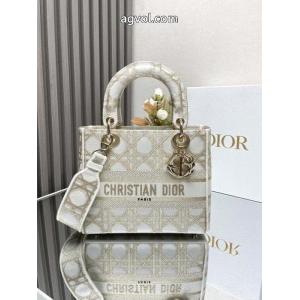 ブランド コピー 専門店大人カジュアル 上品な印象 新作日本未入荷バッグDIOR.