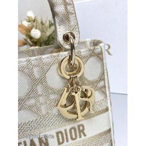 ブランド コピー 専門店大人カジュアル 上品な印象 新作日本未入荷バッグDIOR.