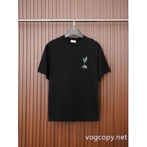  2026ブランド スーパー コピーお得な激安セール価格 爆買い最新作 絶対安いですDior半袖Tシャツ