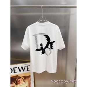 ブランド スニーカー 激安半袖Tシャツお洒落に魅せる とくに注目度の高い 魅力を持つDior