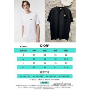 スーパー コピー メンズDIOR半袖Tシャツギフト最適期間限定 フィット感のある オリジナル
