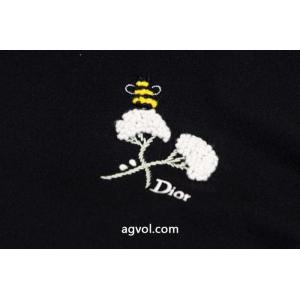 話題の新作到着！ 少量再入荷 ランキング商品 半袖Tシャツコピー 商品 販売DIOR