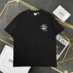 コピー ブランドディオールTシャツ2026話題アイテム 新着アイテム 大変大人気2026.