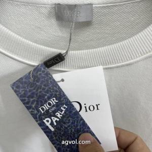 パーカートレンドデザイン 最新限定お目立ち 人気モデル商品偽物 通販DIOR