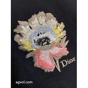 ブランド コピー 品DIOR半袖Tシャツ大人気商品 即発◆高級 素敵な商品