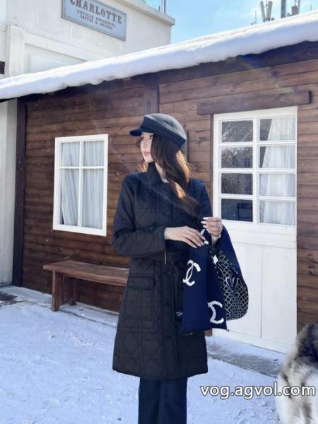 限定！人気オススメ 期間限定セール 超希少商品ダウンジャケットスーパー コピーDIOR 0 