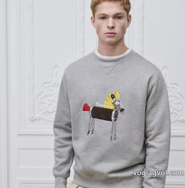 パーカーDIORセレブ愛用　26新作 爆発的人気再入荷 今年流ブランド 通販 激安 0 