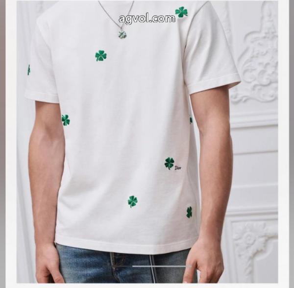 DIOR超レア人気セール 素敵 お洒落に魅せる半袖Tシャツブランド 偽物 激安 通販 4