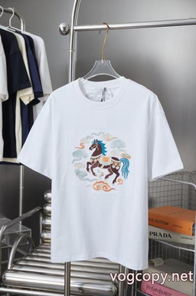 スーパー コピー 品シンプル派 有名人の愛用品 今シーズンは特に人気DiorTシャツ 2