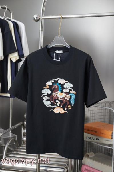 スーパー コピー 品シンプル派 有名人の愛用品 今シーズンは特に人気DiorTシャツ 5