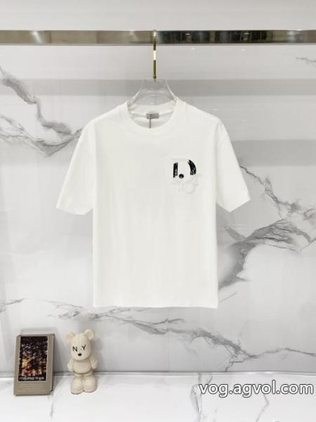 DIORブランド コピー 品大注目日本未入荷 上品見え 大変お買得Tシャツ 0 