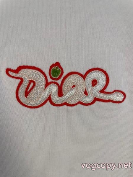 Dior 半袖短袖Tシャツ衬衫今シーズン新作!大人もOK! 高級感ある 先行販売スーパー コピー 販売.. 4
