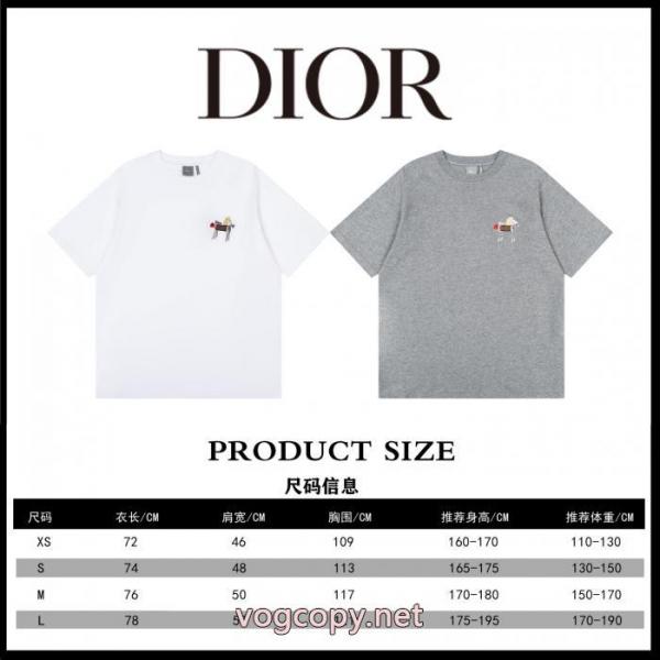 シンプルなデザイン オススメ商品 高級素材DiorTシャツ偽物 通販 1