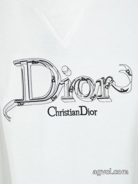 大人でお上品 品質保証260%新品 今話題!コピー ブランド 優良DIOR半袖Tシャツ 2