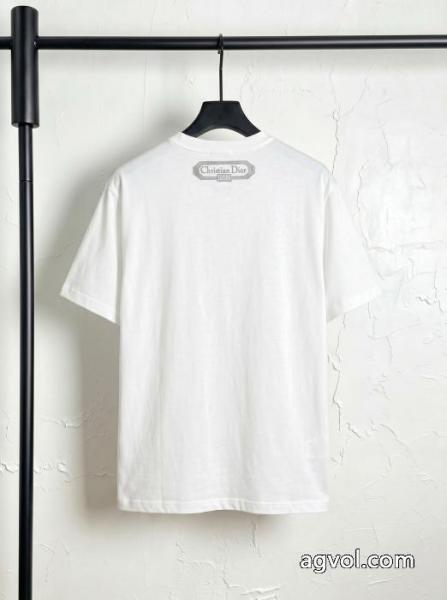 半袖Tシャツブランド 偽物 激安DIORHOT品質保証 激安大低価 こなれ感 2