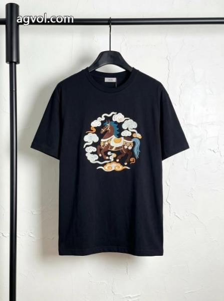 半袖Tシャツブランド 偽物 激安DIORHOT品質保証 激安大低価 こなれ感 5