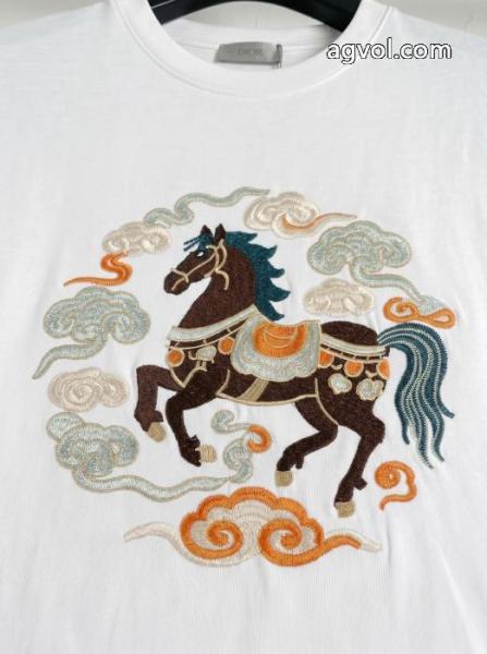 半袖Tシャツブランド 偽物 激安DIORHOT品質保証 激安大低価 こなれ感 4