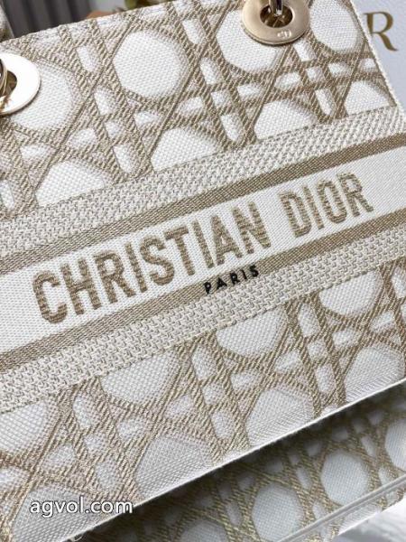 ブランド コピー 専門店大人カジュアル 上品な印象 新作日本未入荷バッグDIOR. 5 