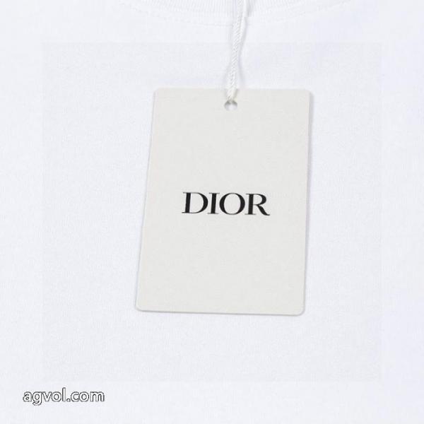  半袖T快適な履き心地 新作！26/262026 洗練されたおしゃれ感を持つブランドコピーDIOR. 5 