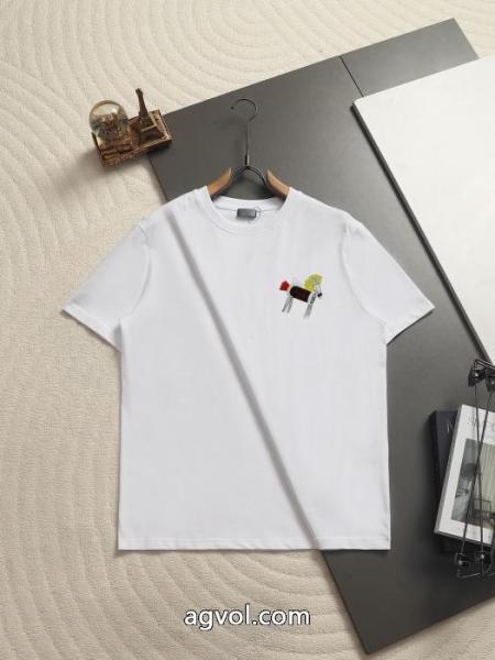激安 通販 ブランドDIOR半袖Tシャツ大人気商品再入荷! 高品質で綺麗 万能タイプ 3