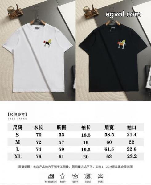 激安 通販 ブランドDIOR半袖Tシャツ大人気商品再入荷! 高品質で綺麗 万能タイプ 4