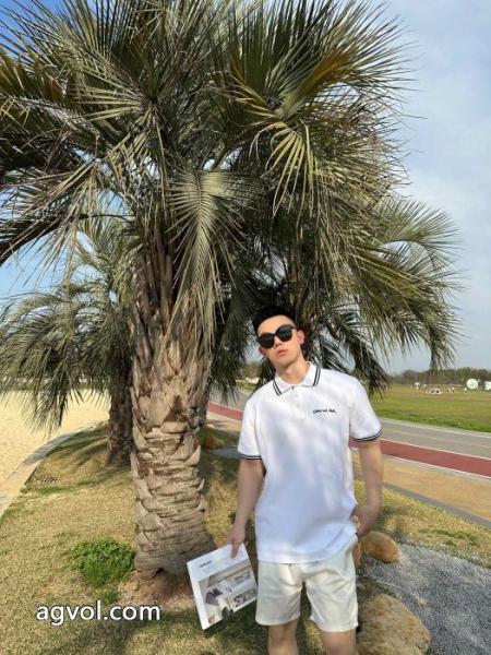 優れた品質 人気急上昇中 夏季超人気アイテム半袖poloTシャツDIORブランド コピー バック 5 