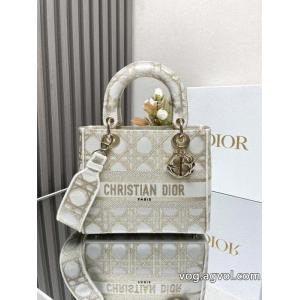 ブランド コピー 専門店大人カジュアル 上品な印象 新作日本未入荷バッグDIOR.