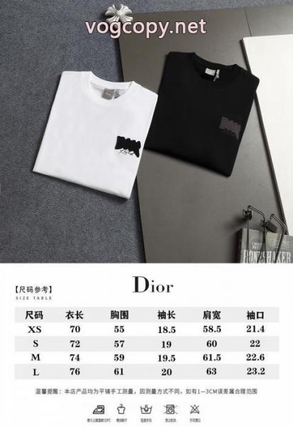 今年もトレンド 洗練された雰囲気 ギフト最適Diorブランド 偽物 激安 通販半袖Tシャツ 2