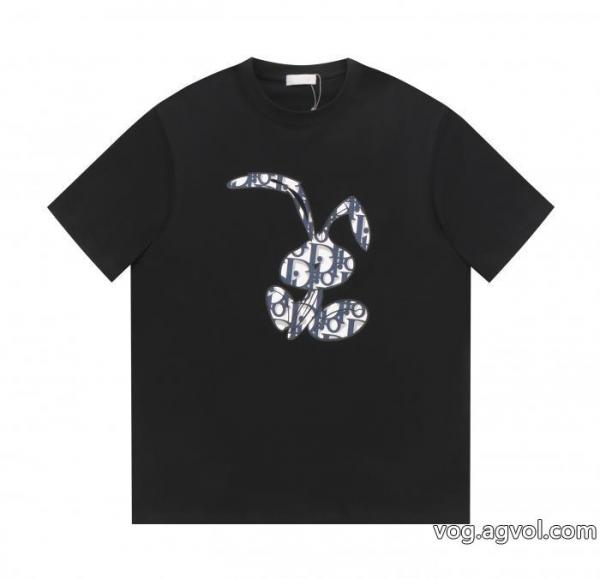 偽 ブランド 販売爆発的人気再入荷 長くご愛用できる 超目玉DIOR半袖Tシャツ 0