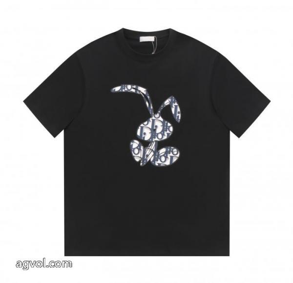 偽 ブランド 販売爆発的人気再入荷 長くご愛用できる 超目玉DIOR半袖Tシャツ 1