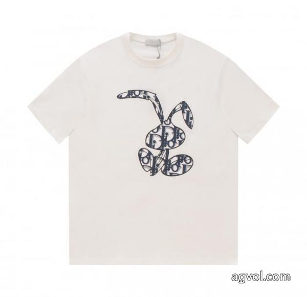 偽 ブランド 販売爆発的人気再入荷 長くご愛用できる 超目玉DIOR半袖Tシャツ 4