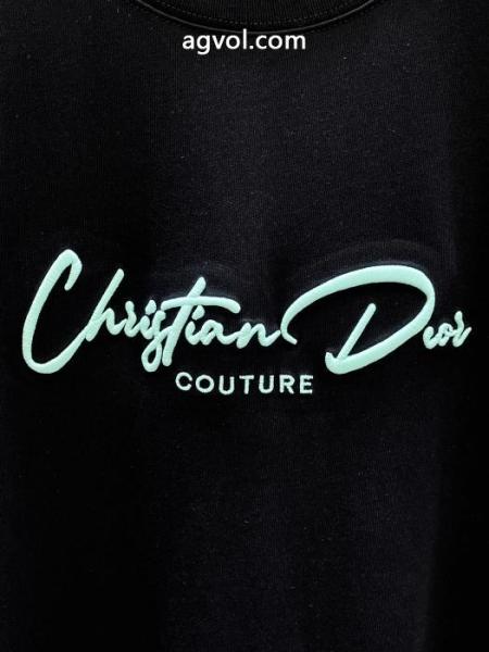 半袖Tシャツ海外大人気 TOPセラー賞 海外限定DIORコピー 品 販売 5 