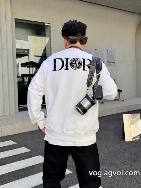 ブランド コピー 激安パーカーDIOR流行の最前線 格好良い 上質で格好い 0