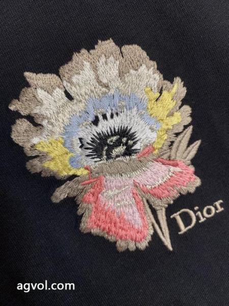 ブランド コピー 品DIOR半袖Tシャツ大人気商品 即発◆高級 素敵な商品 3